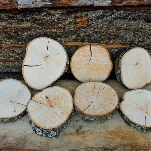 4" - 8" Oak Wood Cookies, Rustic Cake Stand, Wedding Decor Centerpieces, Natural Wood Slices, Craft Wood