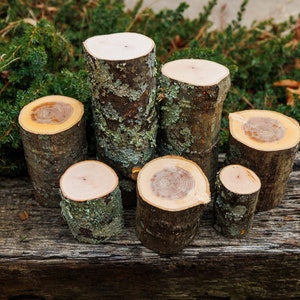 2" - 4" Oak Wood Stumps, Fresh/Green Live Edge Log Stumps, Rustic Wedding Centerpieces, Farmhouse Home Decor, DIY Supply