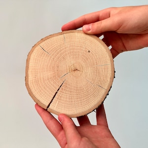 May include: A close-up of a round wooden slice with visible growth rings. The slice is held in two hands.