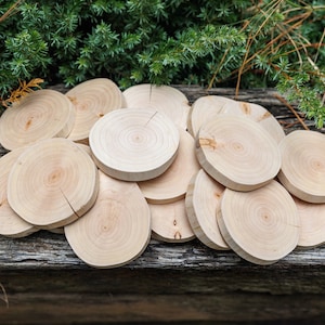 2&quot; - 4&quot; Debarked Cypress Tree Slices, Wood Cookies, Coasters, Wedding Centerpieces Decor, Craft Wood, DIY Supply