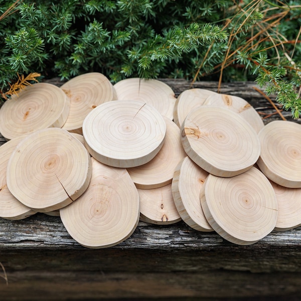 2"-4" Debarked Cypress Tree Slices, Wood Cookies, Coasters, Wedding Centerpieces Decor, Craft Wood, DIY Supply