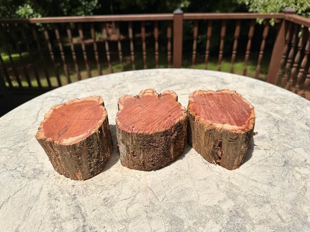 3 Weathered Red Cedar Wood Stumps 4 6x2.75 Etsy