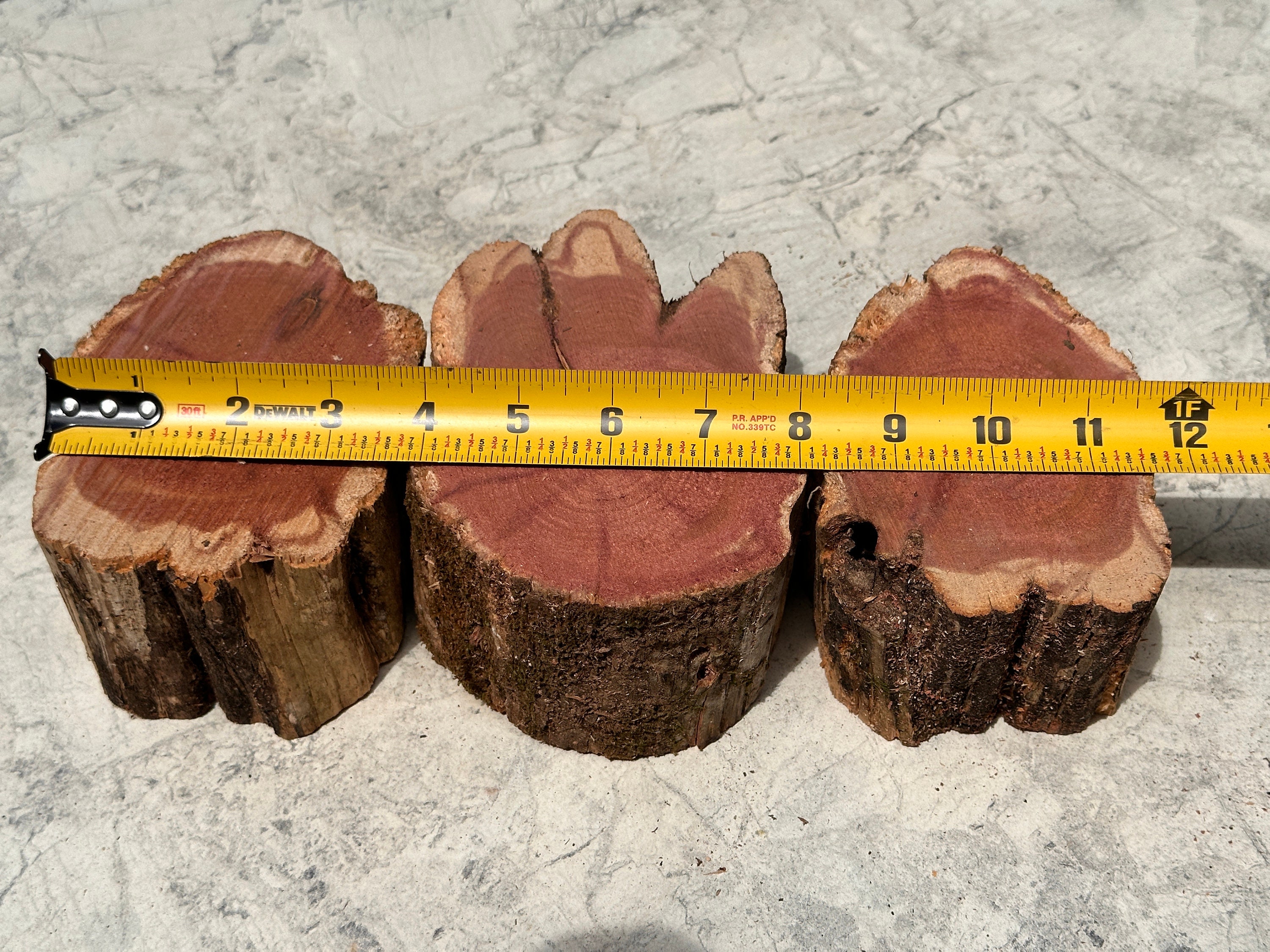 3 Weathered Red Cedar Wood Stumps 4 6x2.75 Etsy