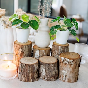3" - 4" White Oak Wood Stumps, Rustic Wedding Centerpieces, Wedding Table, Organic Log Stumps, Farmhouse Home Decor, Table Centerpieces