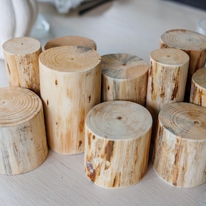 May include: A collection of cylindrical wooden blocks, each with a flat top and bottom, and varying heights. The wood grain is visible, showcasing natural colors of light brown and tan. The blocks are arranged on a light-colored surface.