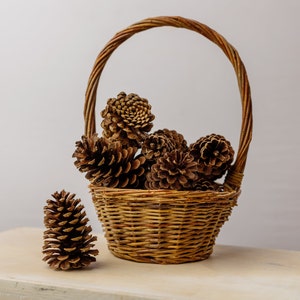 May include: A wicker basket filled with brown pine cones. The basket has a woven handle and is sitting on a light brown surface.