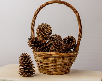 10 Pine Cones - 3"-4" Medium Size | Craft Supplies | Wedding Decor Supplies | Christmas Decor Supplies | DIY Projects Supply