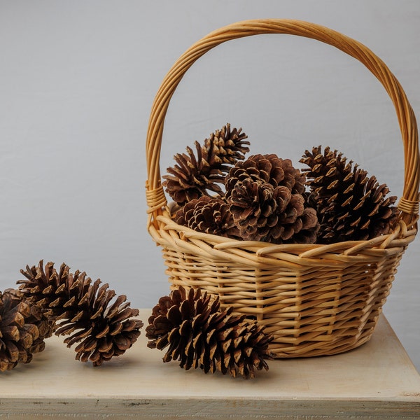 5"+ Pine Cones Large Size | Craft Supplies | Wedding Decor Supplies | Christmas Decor Supplies | DIY Projects Supply