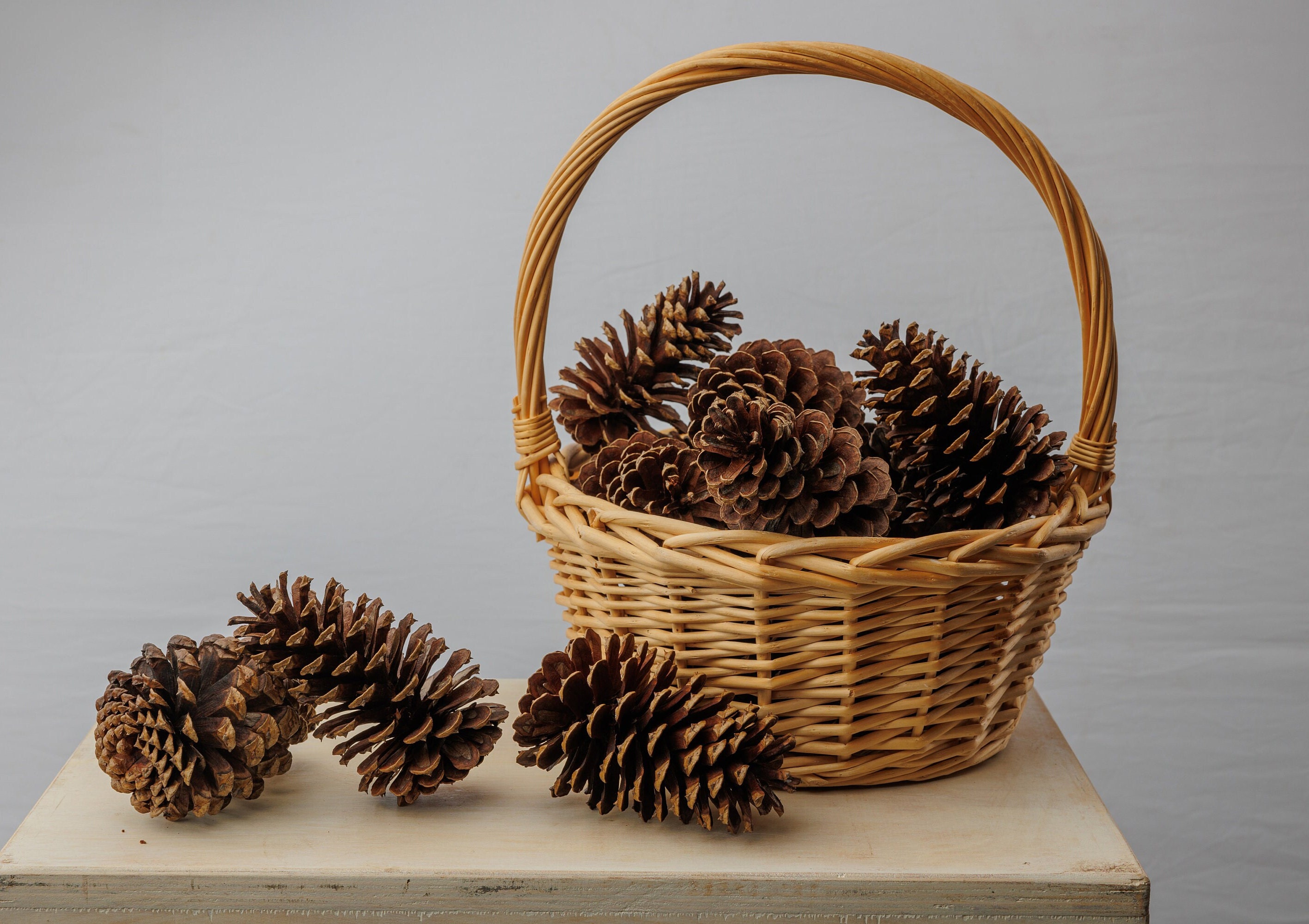 Artificial Pine Branches Pine Cones 33 Cm Set of 3 