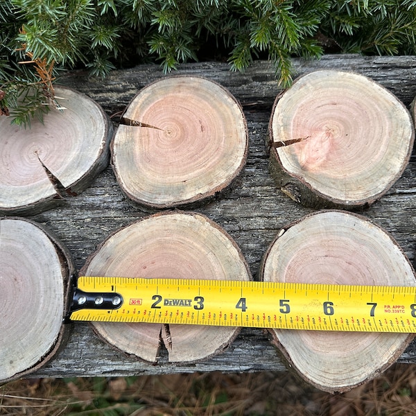 2"-4"+ Cherry Wood Slices, Wood Cookies, Table Decor Centerpieces, Rustic Centerpieces, Coasters, Craft Wood, DIY Supply