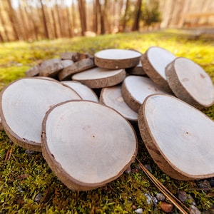 May include: A pile of natural wood slices, with a light brown color and smooth, rounded edges, are arranged on a bed of green moss. The wood slices are perfect for crafting projects, such as coasters, ornaments, or signs.