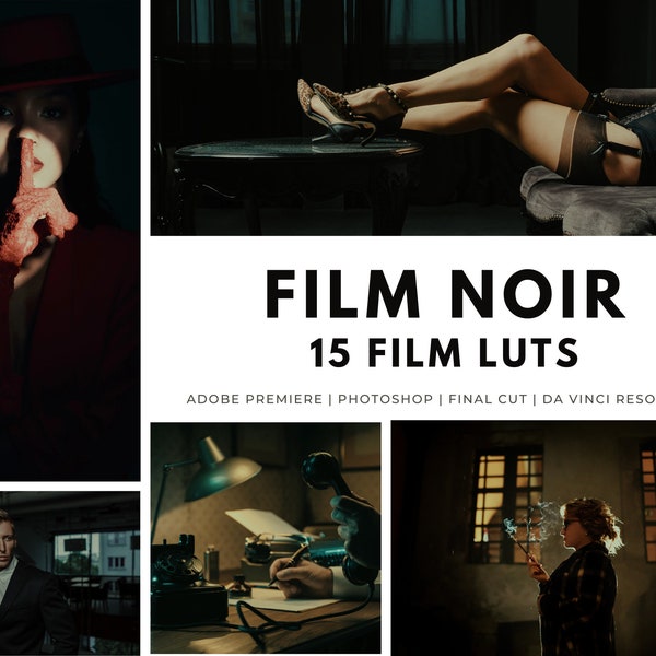 15 Cinematic Film Noir LUTs Pack for Color Grading | Video Filters, Video Presets, Film Luts | Premiere Pro, DaVinci Resolve,Video Preset