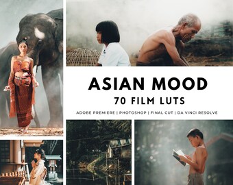 70 Asian Film LUTs for Video Editing, Cinematic Video Presets, Cinematic Luts, Film Luts, Sony Luts, Video Luts, Vintage Luts, Color Grading