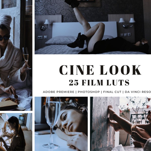 25 Cinematic Film Look LUTs Pack for Color Grading | Video and Photo Mobile & Desktop | Premiere Pro, DaVinci Resolve,Video Preset,Photoshop