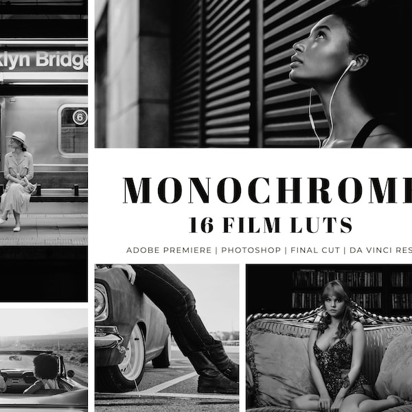 16 MONOCHROME FILM LUTs Pack | Video Presets, Video Filters, Cinematic Video, Premiere Pro, DaVinci Resolve,Final Cut, Photoshop Filters