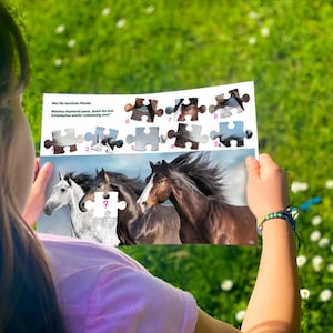 Pferde Schatzsuche für Kinder von 8-11 Jahren. Zum direkten downloaden. Coole Rätsel und passende Deko für den Kindergeburtstag. Bild 8