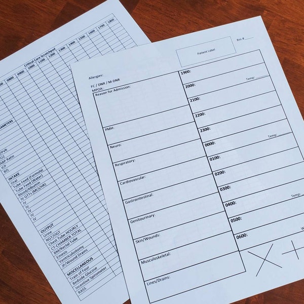 Day Shift Detailed ICU/IMC RN Critical Care Nurse w/Hourly Medications Intake/Output Nursing Brain Report Sheet Downloadable Printable Pdf