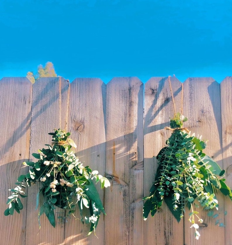 Eucalyptus Shower Bunches Etsy