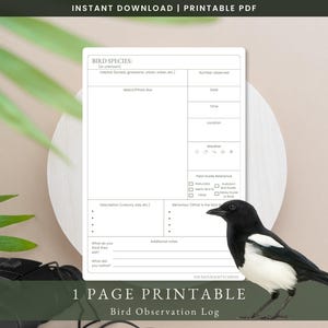 Puede incluir: Un registro imprimible de observación de aves con una urraca. El registro incluye campos para la especie de ave, el hábitat, el boceto, la fecha, la hora, la ubicación y el comportamiento. El texto "DESCARGA INSTANTÁNEA | PDF IMPRIMIBLE" está en la parte superior.