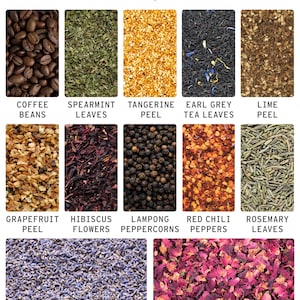 May include: An image showcasing various vodka botanicals, including coffee beans, spearmint leaves, tangerine peel, Earl Grey tea leaves, lime peel, grapefruit peel, hibiscus flowers, lampong peppercorns, red chili peppers, rosemary leaves, lavender buds, and wild rose petals.