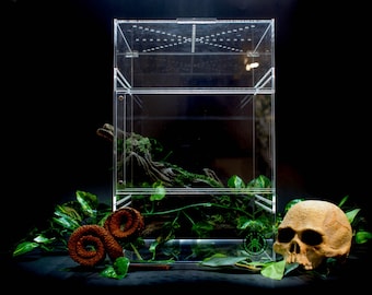 XL spider enclosure Free shipping!