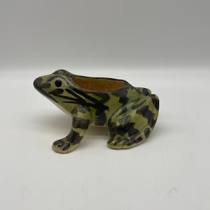 May include: A green and black ceramic frog planter with a brown interior. The frog has a spotted pattern and is sitting on a white surface.