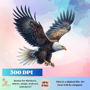 Indigenous eagle clipart jpg png native Instant download, printable art,  sublimation design