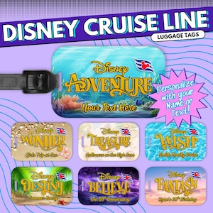 ディズニー・クルーズのパーソナライズされたランヤード - 家族旅行用