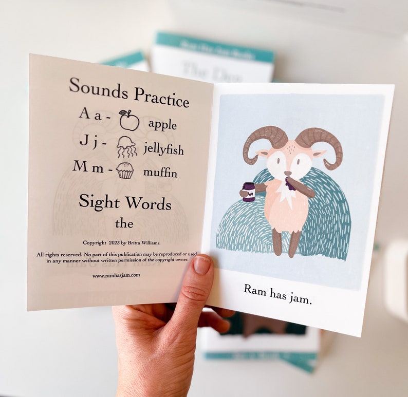 Set 2 easy books for kids reading practice phonics learning to read