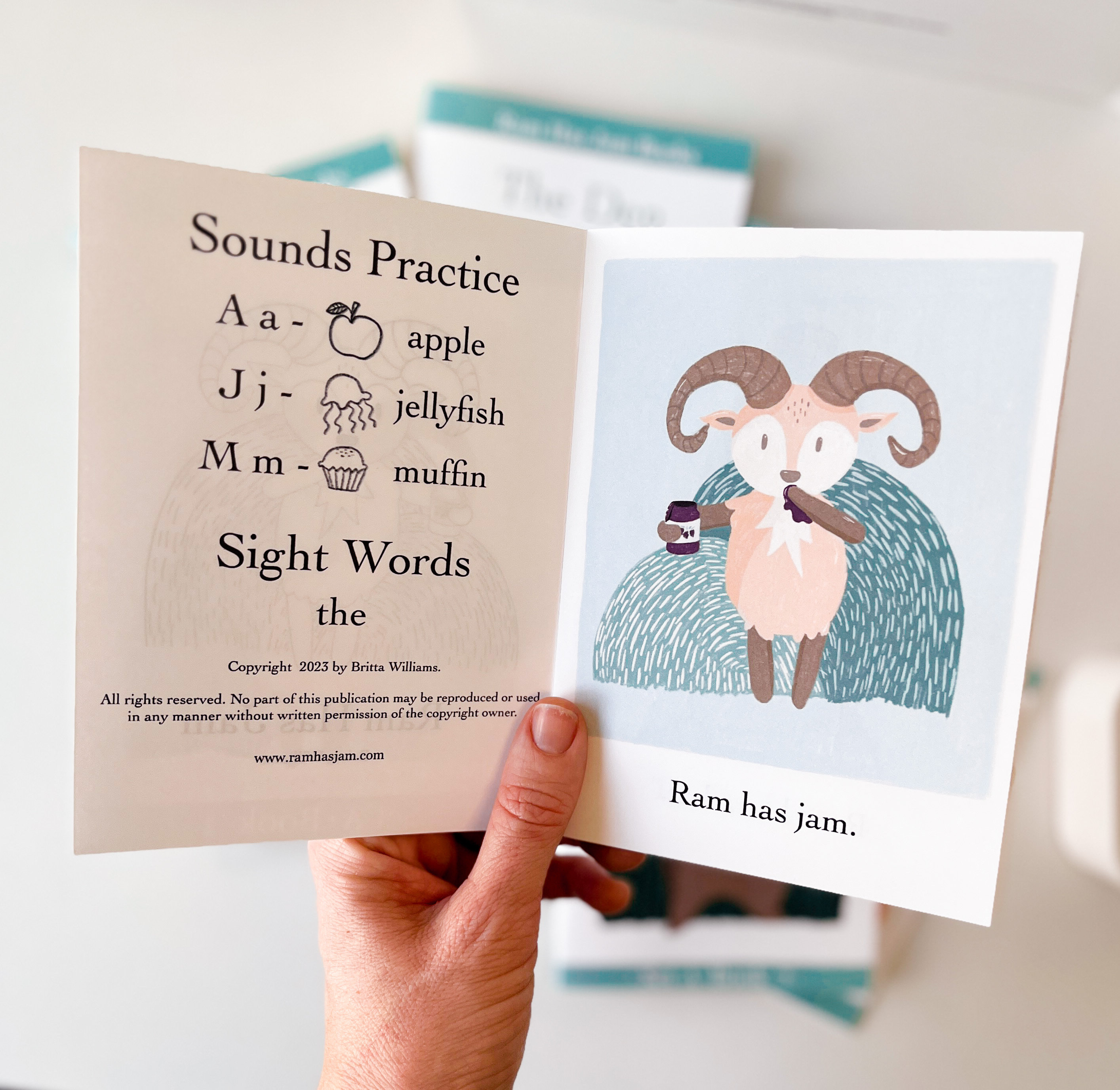 set-2-easy-books-for-kids-reading-practice-phonics-learning-to-read