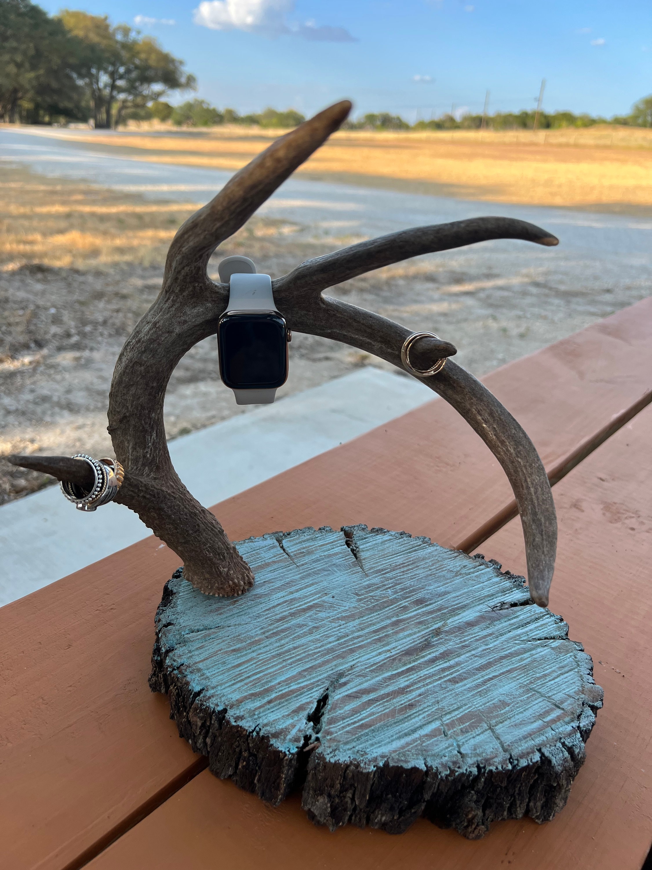 Deer skull jewelry holder hot sale