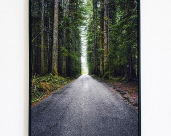 Forest Road Nature Wall Print(Digital Download)