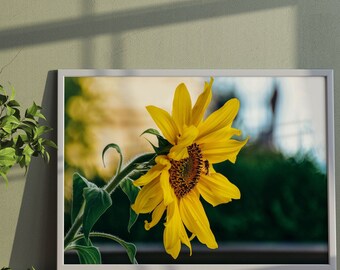 Stampa fotografica di ape girasole: arte floreale gialla (download digitale)