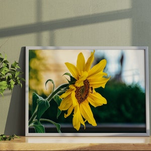 Sunflower Print, Flower Art, Bee Art, Yellow Flower Printable, Sunflower Poster, Home Decor Print, Yellow Print