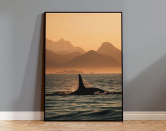 Orca Whale Poster Print, Killer Whale Print, Golden Sunset Orca, British Columbia Print, Canada Poster, Marine Life Prints, Nautical Print