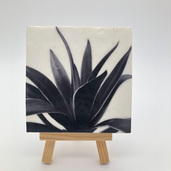 Tiny Art - House Warming Gift - Agave - Original Encaustic Photography - Plant - Minimalism