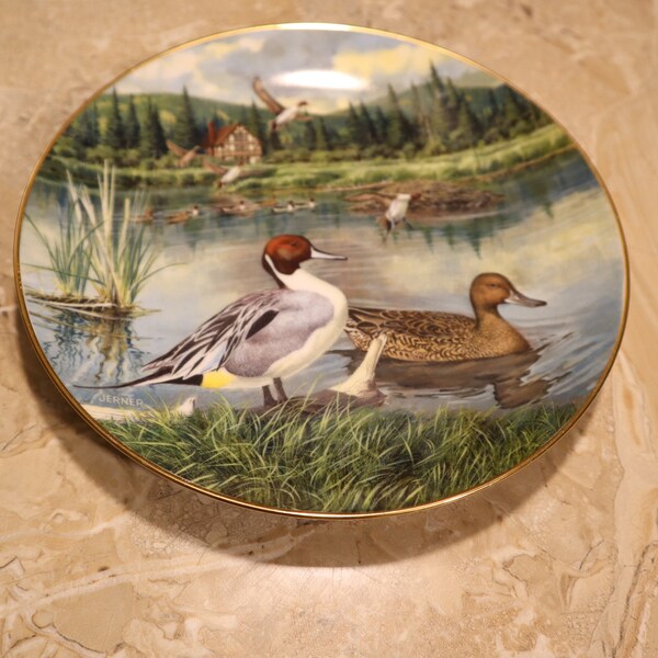1986 Commemorative Pintail Plate by Bradex