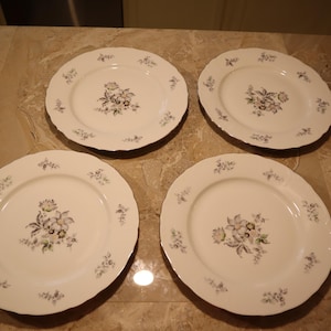 Vintage Lot of 4 Wildflower Dinner Plates Made In Czechoslovakia