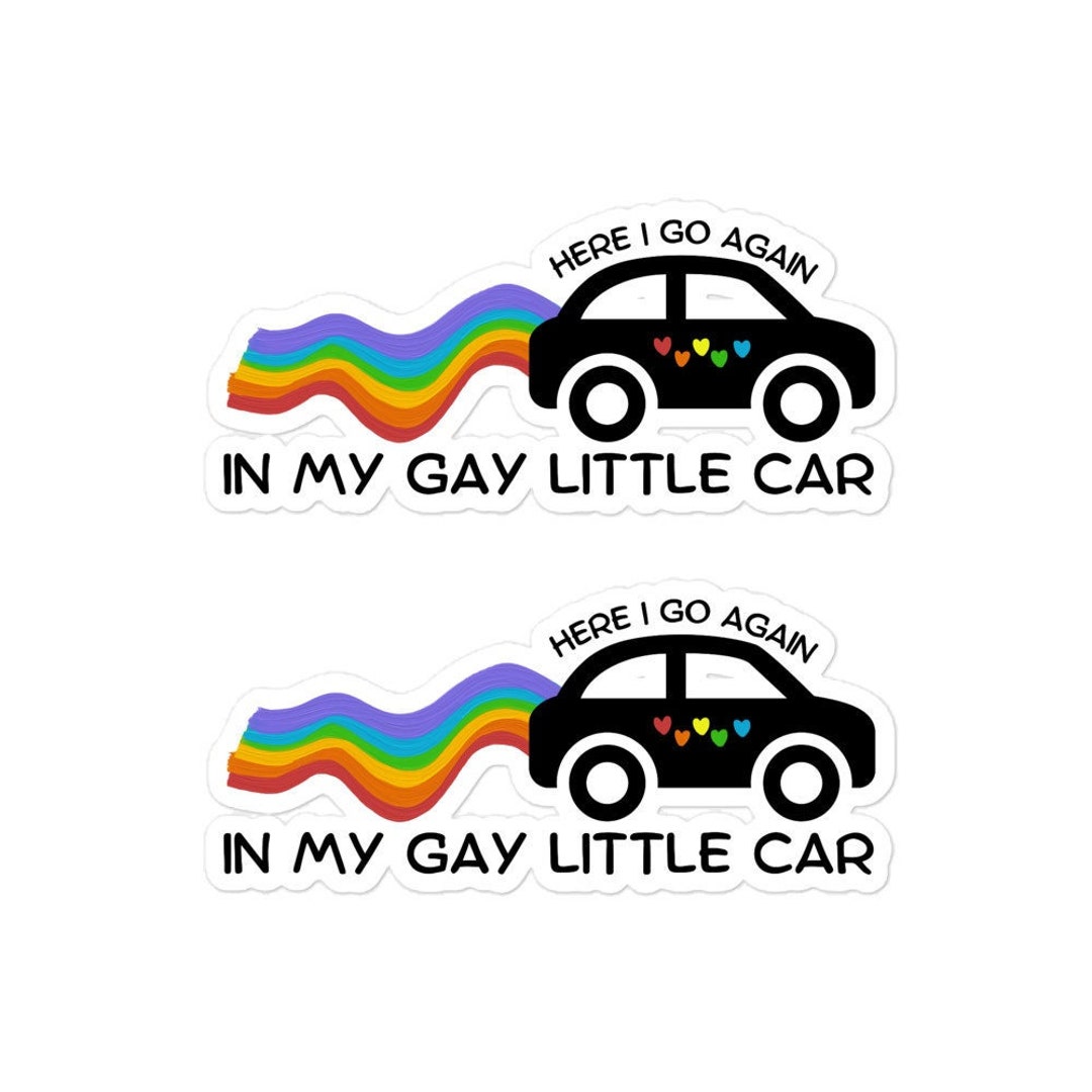 Funny Gay Car Sticker, 2 PACK Bumper Graphic Mirror Cool Humor Gift for