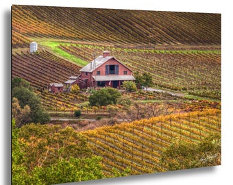 Napa Valley Vineyard Barn: Autumn Wine Country Fine Art Print