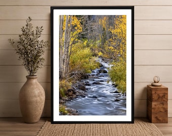 Autumn Forest, Eastern Sierras Canvas Print | Gallery-Wrapped, Multiple Sizes