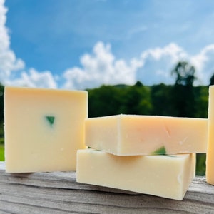 Raw Goat Milk Conditioning Shampoo & Body Bar -Soothing Soap w/Pure Goat Milk, Aloe,Argan Oil, Shea, and Mango Butters -Farm Fresh Goat Milk