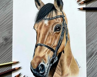 Personalisiertes Pferde Portrait, Realistische Buntstift Kunst, Pferde Zeichnung