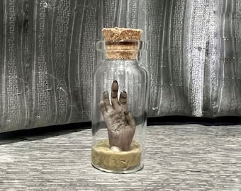 Cursed Monkey’s Paw - Die Pfote eines Miniatur Affen in einer Glasflasche.