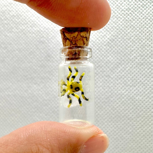 Blue Ringed Octupus Specimen in a Bottle