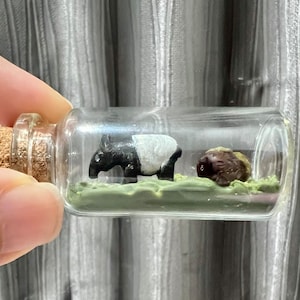 Puede incluir: Una pequeña botella de vidrio transparente con un tapón de corcho contiene una pequeña figura de tapir en blanco y negro y una figura de erizo marrón. Las figuras están sobre un lecho de musgo verde.