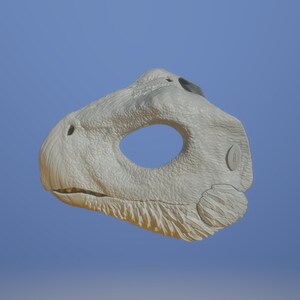 May include: A 3D printed model of a dinosaur skull, painted in a light gray color. The skull is missing the lower jaw and has a detailed texture.
