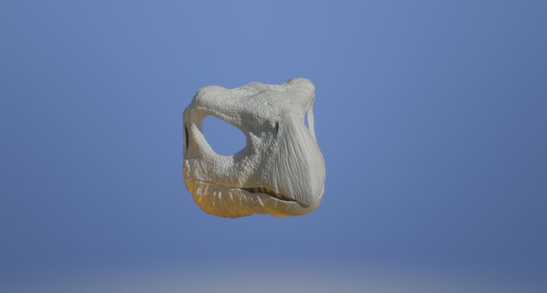 May include: A white, 3D printed dinosaur skull model. The skull is detailed with teeth and eye sockets.