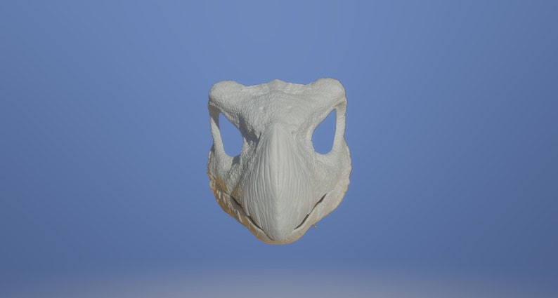 May include: A white, 3D printed, bird-like mask with a long beak and eye holes.