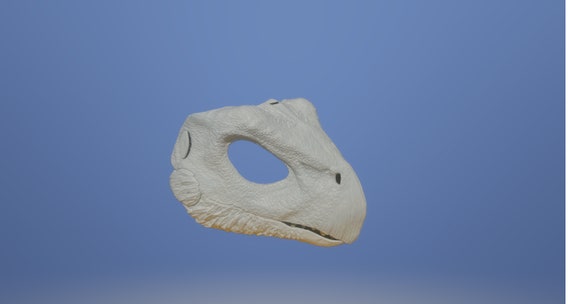Paint Your Own Dino Mask White Primer Coated